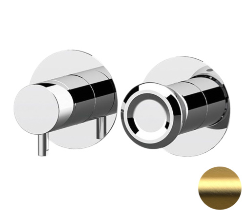 Смеситель для душа Remer Element ET93ZPBG, золото брашированное