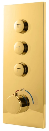 Душевая система Vincea VSFW-431T1RBG