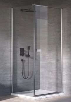 Душевая дверь Kolpa-San Andromeda D 100 silver brill transparent 516530