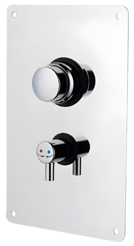 Смеситель порционный для душа Remer Tempor TE32M