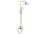 Душевая система Rea Bloom gold P9528