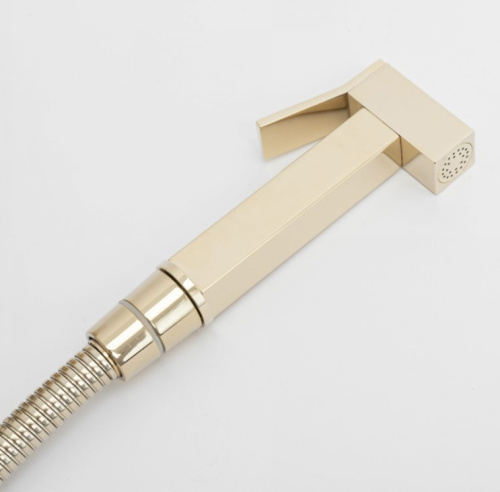 Гигиенический душ Rea Fenix Gold B5771