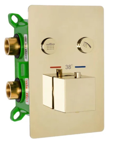 Душевая система Rea Davis Gold P6324