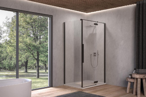 Душевая дверь Kolpa-San Polaris D 100-R silver brill transparent 515460