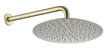 Верхний душ с кронштейном Caprigo Don 99-523-brg