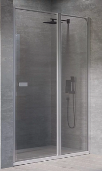 Душевая дверь Kolpa-San Andromeda N 120 silver brill transparent 516720