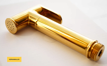 Лейка CeramaLux KRL/003 золотой глянец