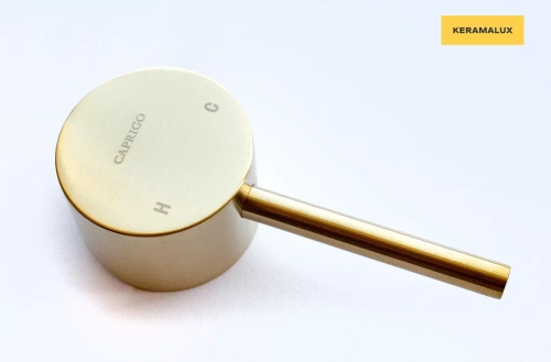 Смеситель для умывальника Caprigo Don 53-027-BRG