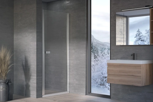 Душевая дверь Kolpa-San Andromeda N 90 silver brill transparent 516700