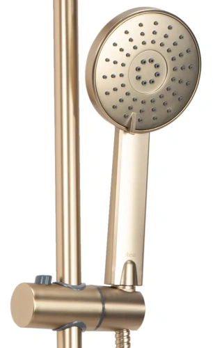 Душевая система Rea Luis Gold matt P7051