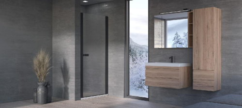 Душевая дверь Kolpa-San Andromeda N 80 black transparent 516750