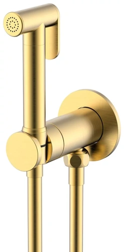 Гигиенический душ Nemo NM-2322BG brush gold