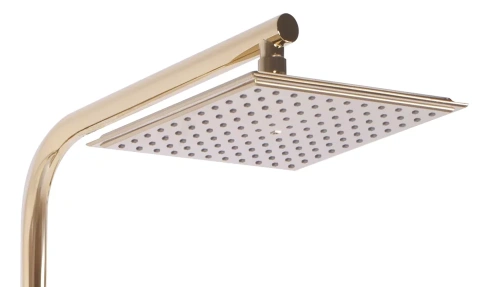 Душевая система Rea Bravo gold P4120