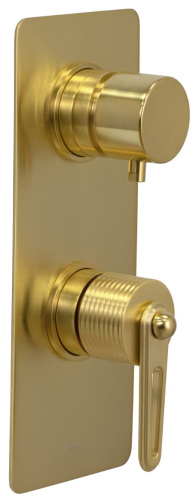 Смеситель для душа Daniel Brooklyn BY612D2KBDP