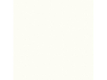 Столешница из постформинга 600*485 (белый) толщина 38мм