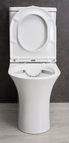 Унитаз напольный Gid Tn2126