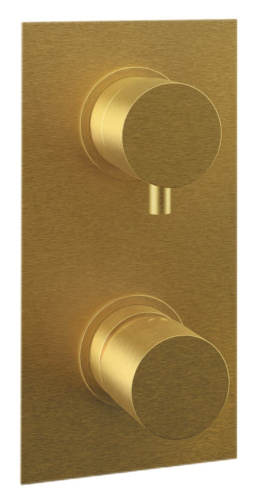 Смеситель для душа Remer Edge EG592BG, золото брашированное