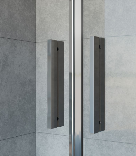 Душевая дверь Vincea Garda VDS-1G2190CL